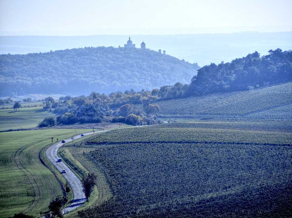 vinařská oblast Morava
