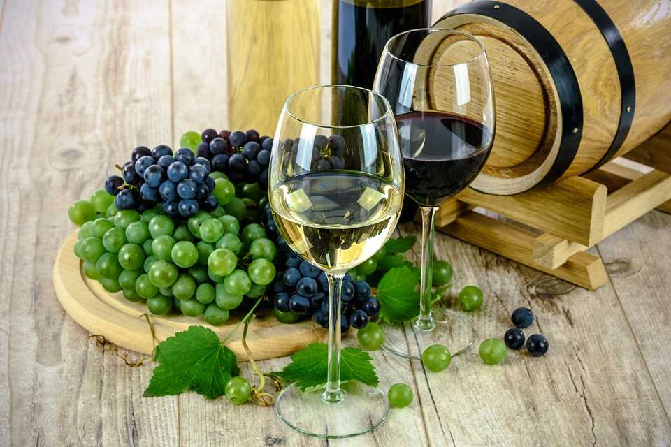 Odrůdy vín a značky
